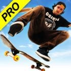 Skateboard Party 3 Pro Logo