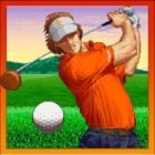 NEO TURF MASTERS Logo
