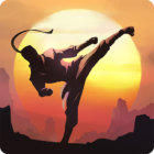 Shadow Fight: Shades Logo
