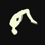 Backflip Madness 2 Logo