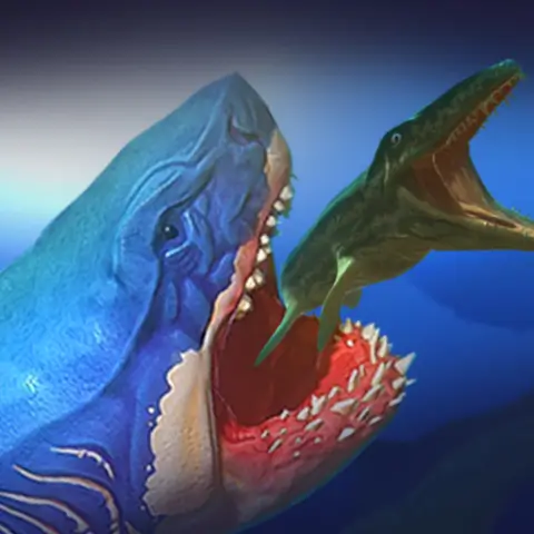 Feed And Fish Survivors MOD APK Logo