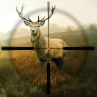 Hunting Simulator Logo