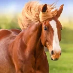 The Horse Logo